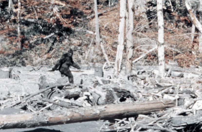 infamous bigfoot photo