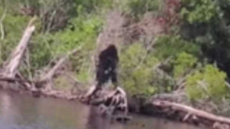 Bigfoot spotted on the bank of the river