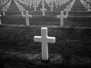 photo shows lines of white crosses as headstones