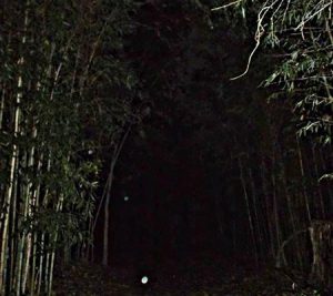 Strange orbs caught in path during a Colonial Ghost Tour in Williamsburg, Virginia