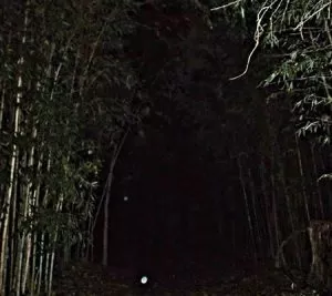 Strange orbs caught in path during a Colonial Ghost Tour in Williamsburg, Virginia