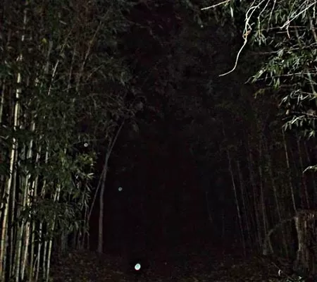 Object caught on camera in dark path
