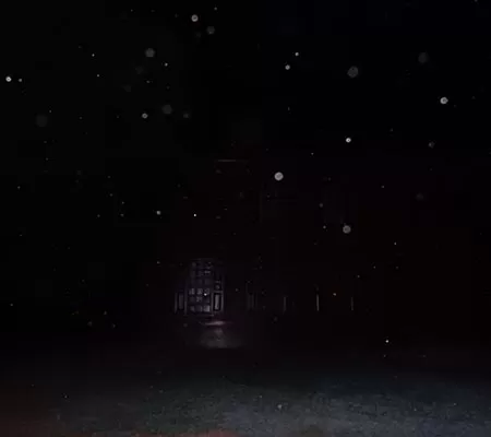 Strange orbs caught on camera in the dark night
