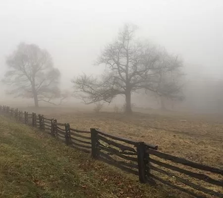 Ghostly fog during a day tour at Colonial Ghosts