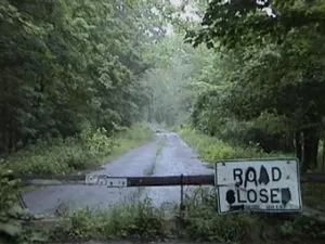 photo shows an overgrown road with a road closed sign